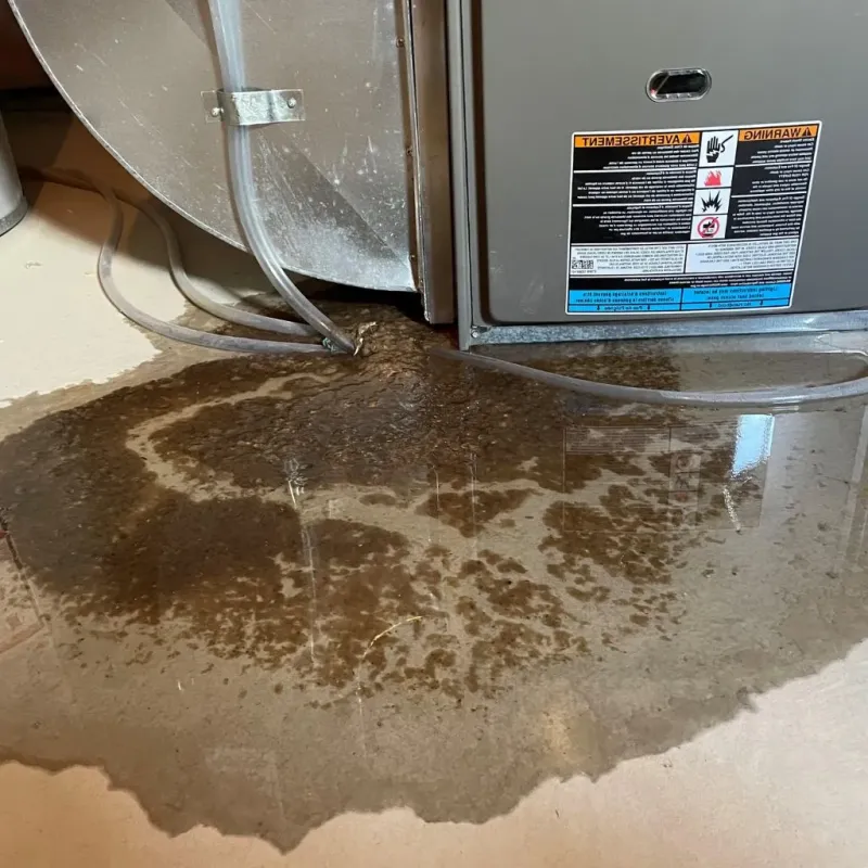 Pipe Burst and Leak Restoration in Biloxi, MS